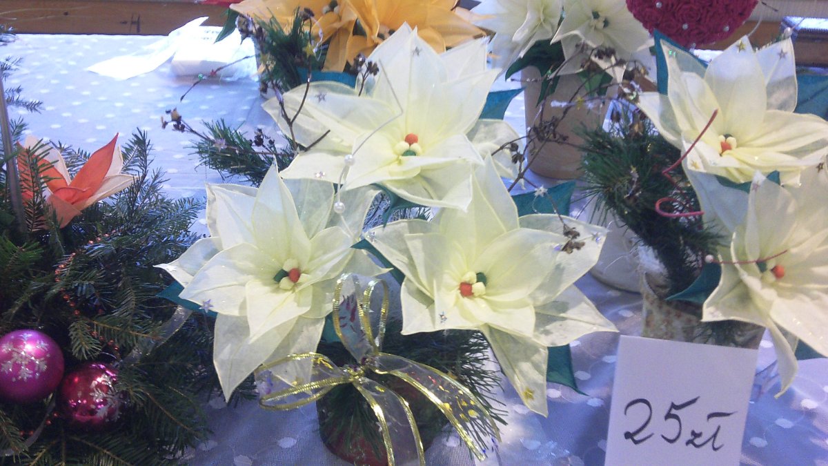 IMAG0377.JPG