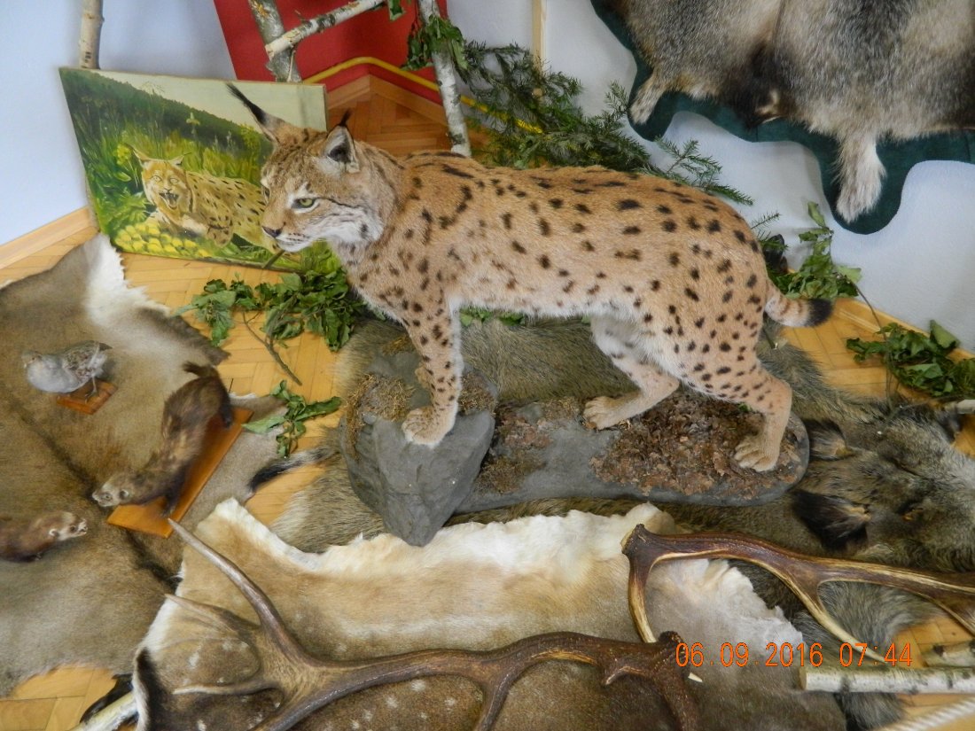 DSCN4024.JPG