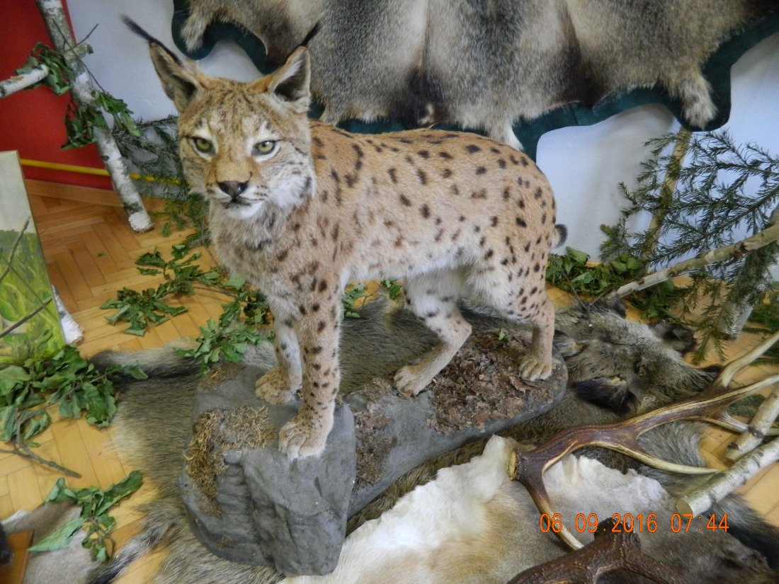 DSCN4025.JPG
