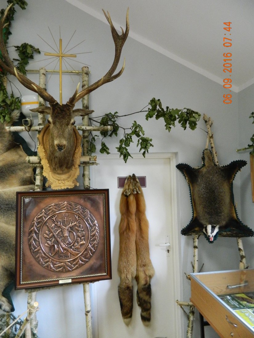 DSCN4026.JPG