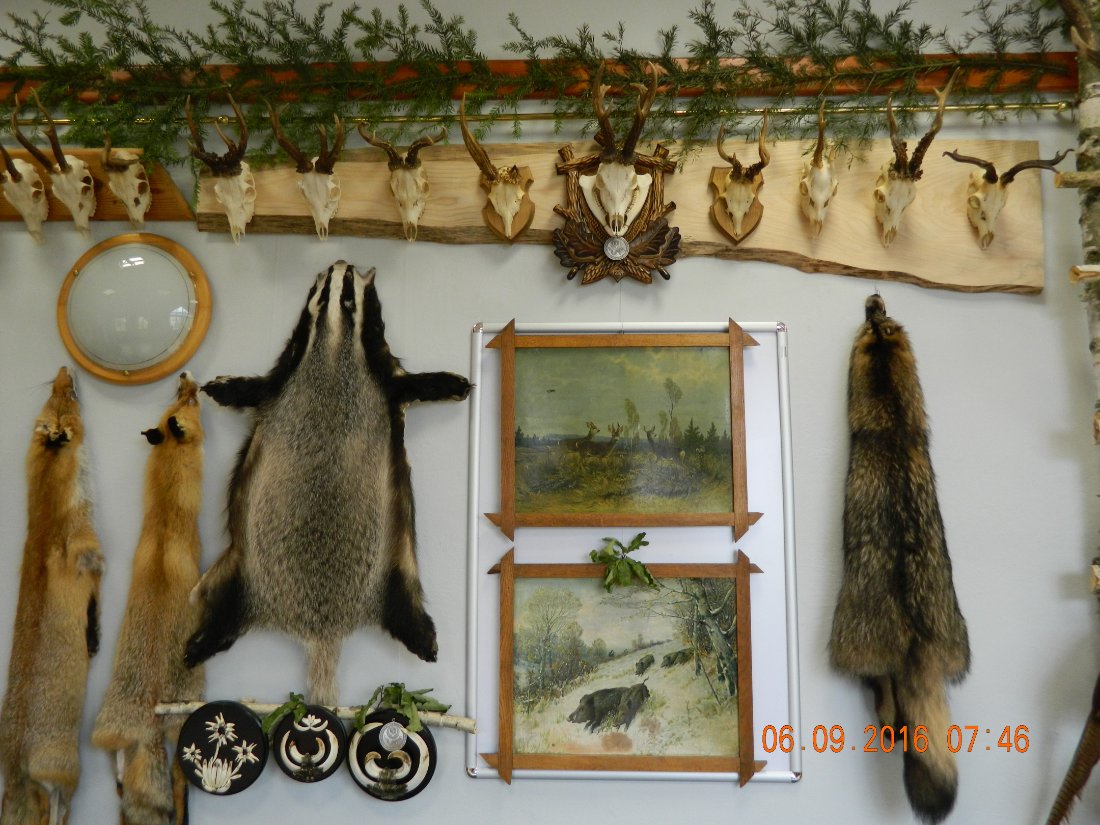DSCN4039.JPG
