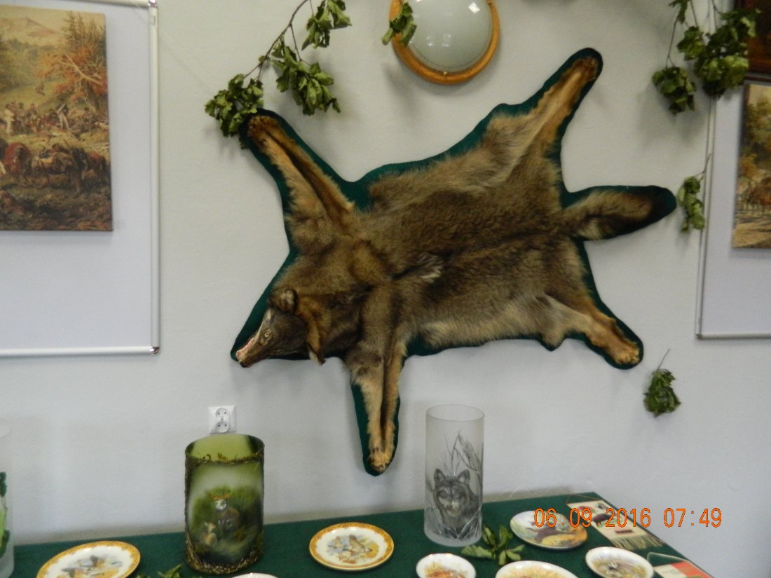 DSCN4047.JPG