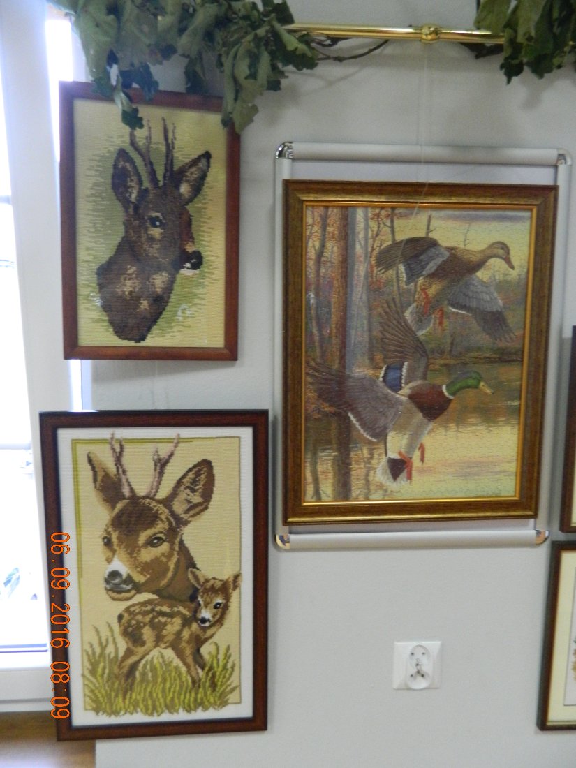 DSCN4048.JPG